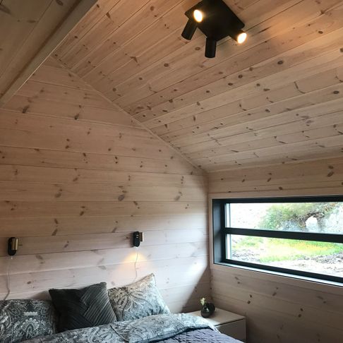 Hytte soverom med flere vindu som slipper inn naturlig lys og en taklampe